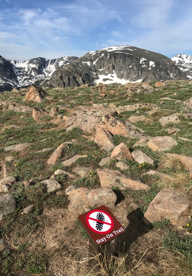 Mountains in distance with rocky ground below. A sign has a boot print with a line through it, and says STAY ON TRAIL.