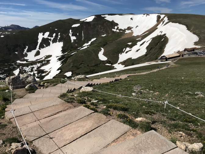 Downward view of steps for Alpine Ridge Trail.