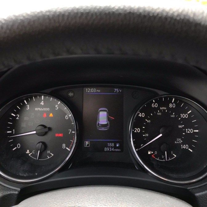 Car dashboard with diagram of car with door open on display panel between odometer and speedometer.