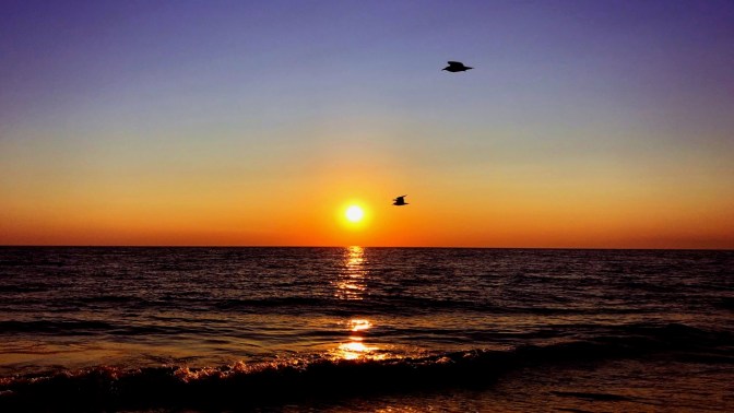 Birds flying in sky past ocean sunset.