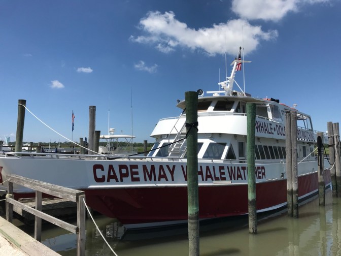 Cape May Whale Watcher ship tied up at a pier.