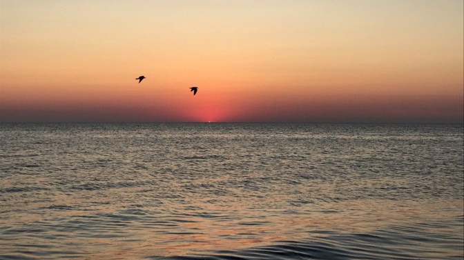 Two birds flying across sky with sun almost set.