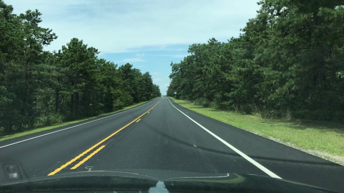 View of Route 539 through Pine Barrens.