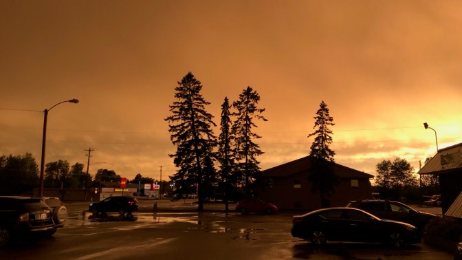 Yellow-green sky above buildings and trees.