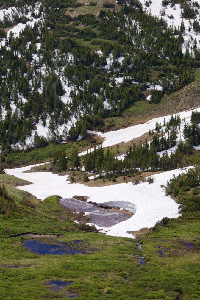 Meadow covered in snow, with tree-lined mountainside behind.
