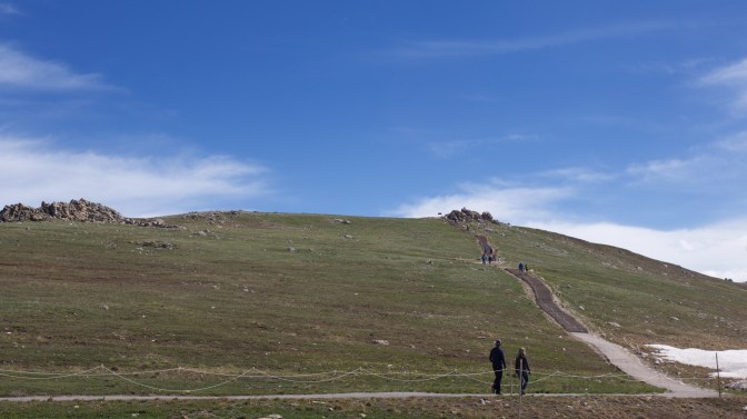 View of Alpine Ridge Trail, with two people in foreground about to ascend steps.