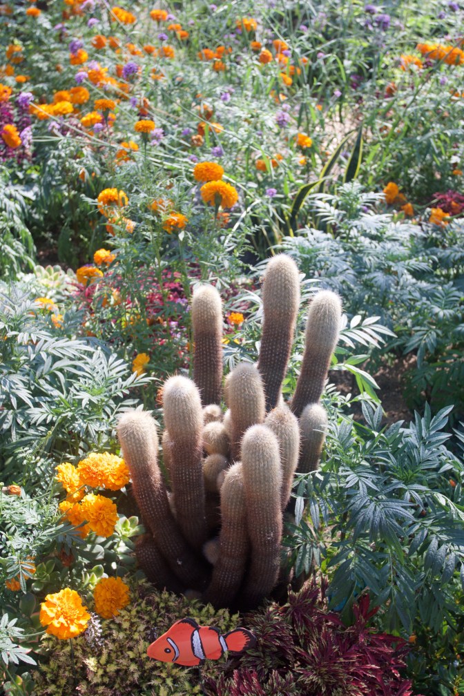Fish statue in front of cacti and flowers of different colors.
