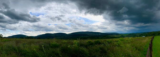 Panorama of grassy plain in front of mountains.