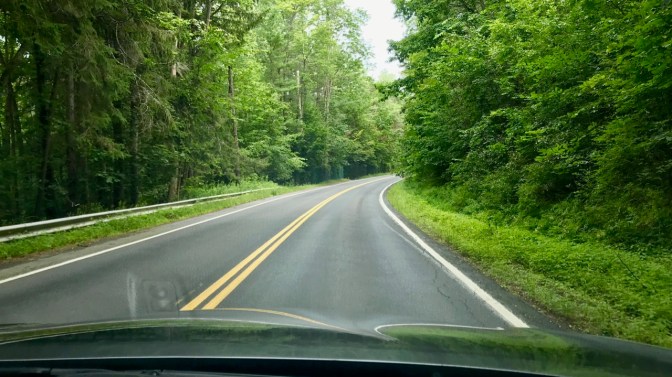 View of Route 31, a tree-lined two-lane road.