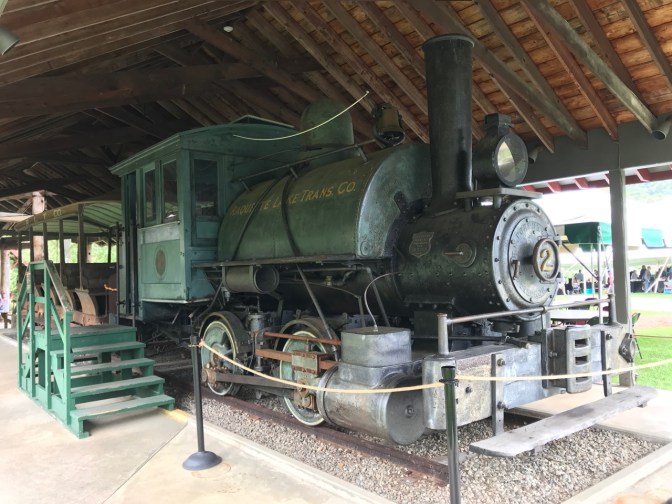 Small steam engine beneath wooden shelter.