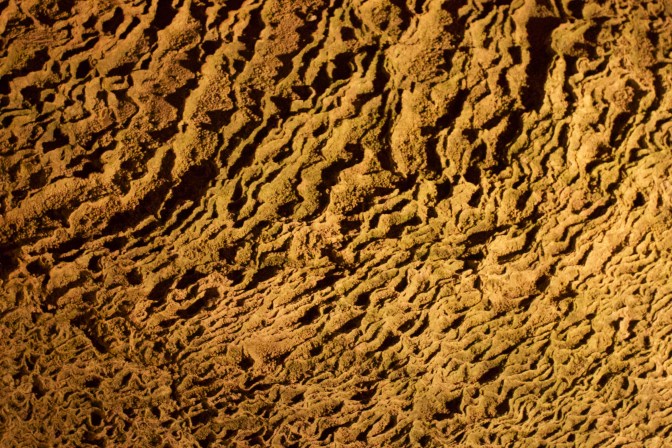 Series of ridges running across rock face.