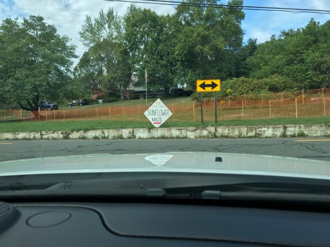 Intersection, with sign across street that says SUNFLOWER MAZE and a red arrow pointing left.
