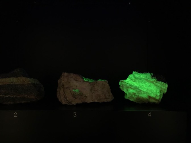 Fluorescent rocks on display.