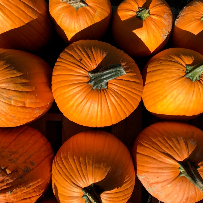 Pumpkins in a box.