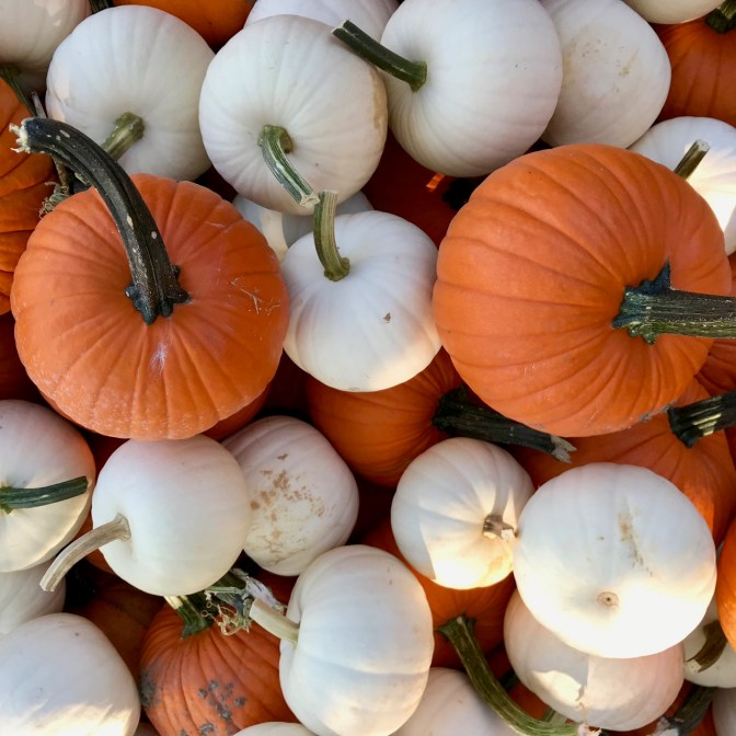 Pumpkins and gourds in a box.