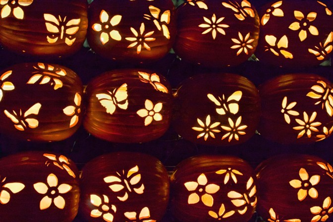 Twelve pumpkins in three rows of four, with butterflies and flowers carved into them.