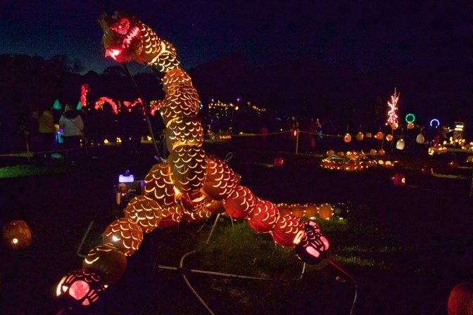 Dragon made of pumpkins.