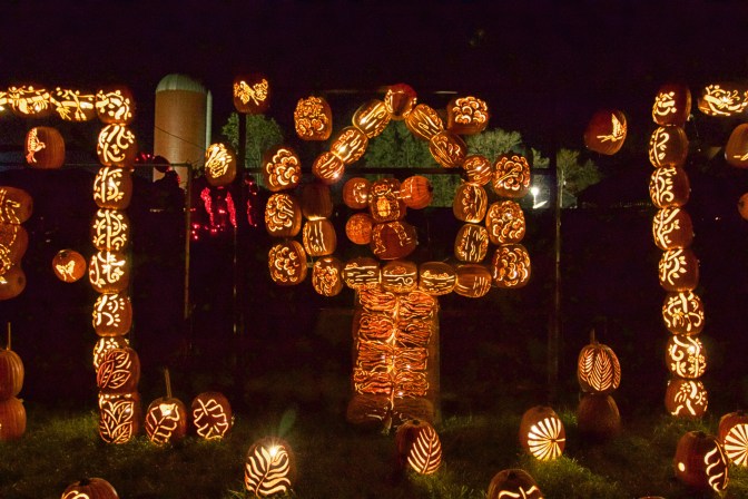 Monkey standing in a tree, all made of pumpkins.