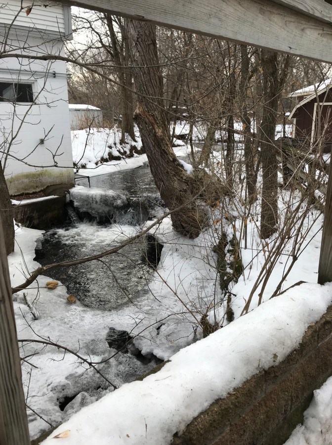 View of brook running behind buildings.