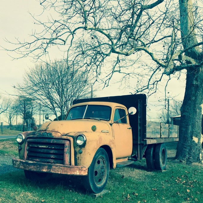 Rusting GMC truck parked beside tree on farm.