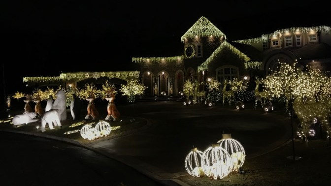 House covered in numerous decorations, with decorative reindeer, polar bears, nutcrackers, and foxes in front yard.