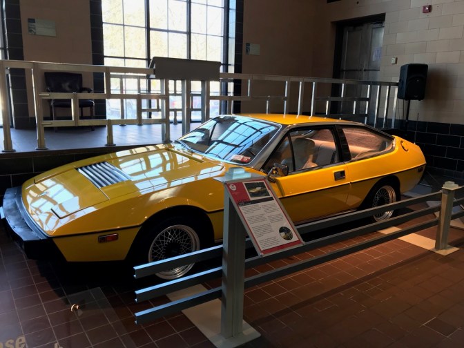 Yellow Lotus Eclat Spring.