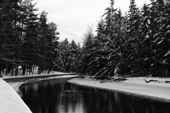 View of tree-lined canal in Arrowhead Park.