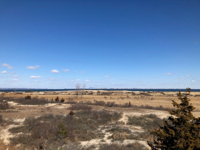 View of beaches and grasslands of park .