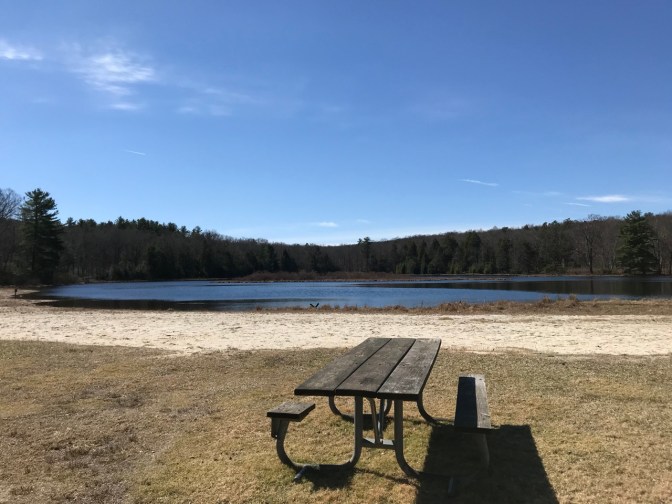Empty picnic bench beside Stony Lake. Trees line the far shore.