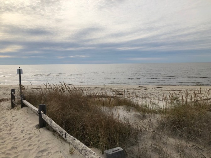View of sand dunes and entryway to beach, with Delaware Bay in background.