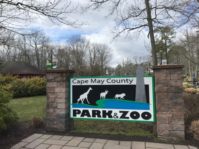 Entrance sign for Cape May Zoo that says CAPE MAY COUNTY PARK & ZOO.