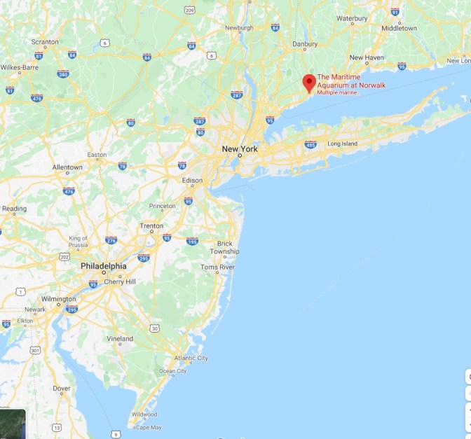 Map of New Jersey, New York, and Connecticut, with a red pin in the location of Norwalk, Connecticut.