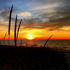 The Art of Photography.