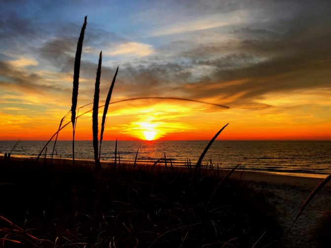 View of sunset over ocean with plants framing the setting sun.