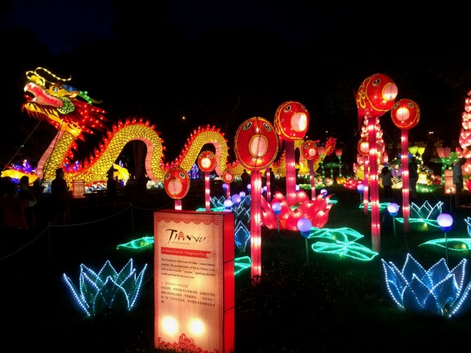 Chinese lanterns of dragon and fish, against a night sky.