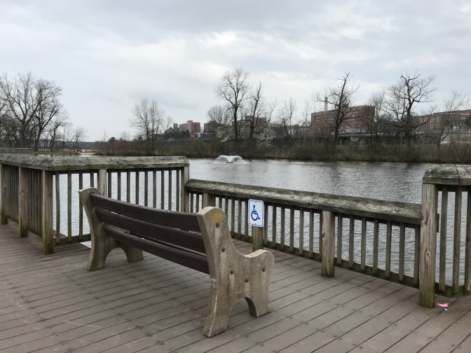 Bench in Johnson Park along side of pond, with lowered fence to allow visibility for a wheelchair rider.