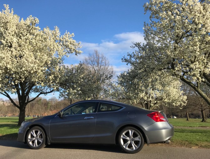 2012 Honda Accord in front of blooming trees.