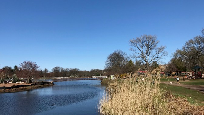 View of lake and park on sunny day.