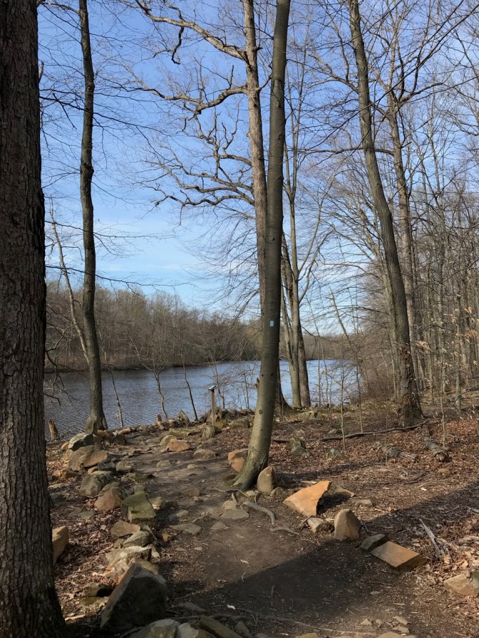 Photo of small path along trail.