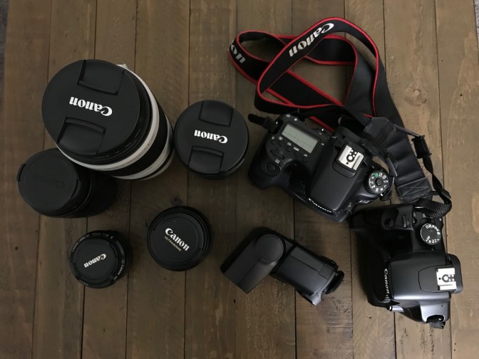 Top-down view of five camera lenses, two camera bodies, and a flash.