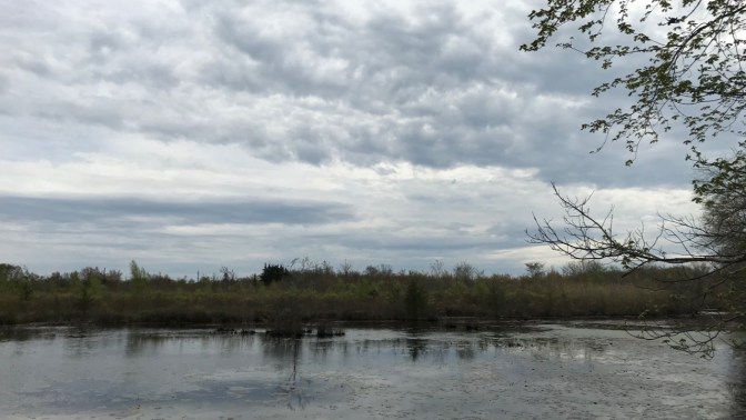 View of Helmetta Pond.