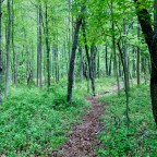 Memorial Day Meanderings.