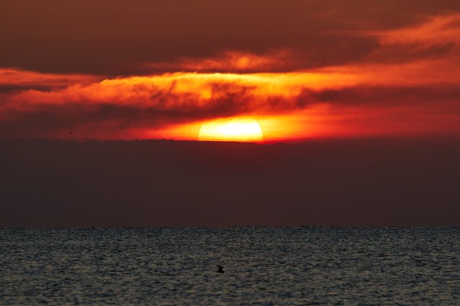 Setting sun over ocean.