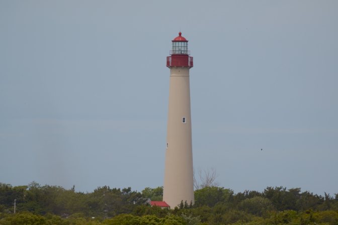 View of Cape May Lighthouse rising above tree line.