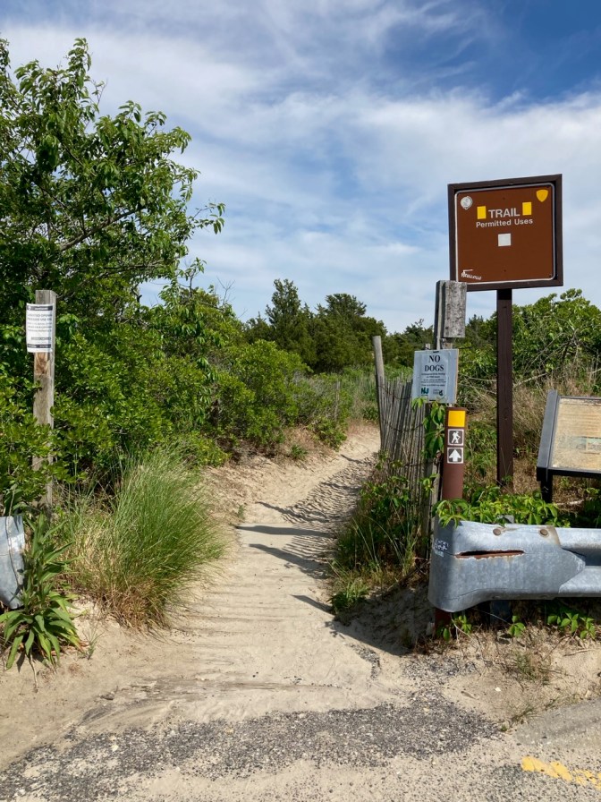 Trailhead at Corson's Inlet State Park, with a sandy path leading into the woods.