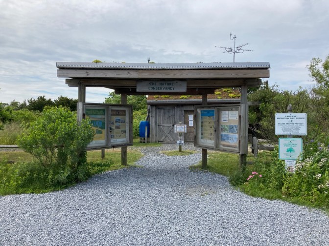 Nature Conservancy entrance - a wooden pagoda - to Cape May Meadows.