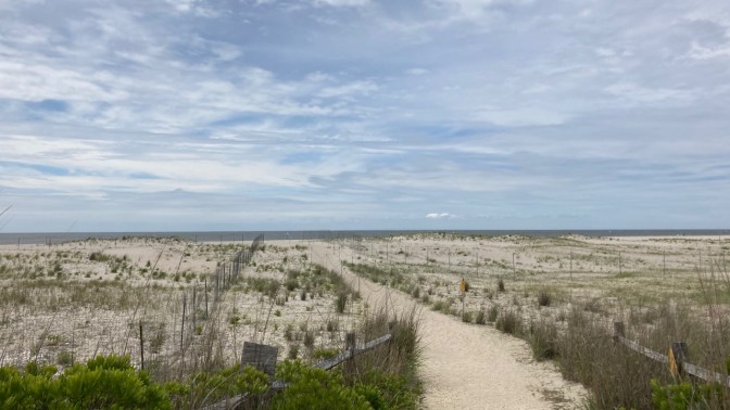 Path to beach through dune, with both sides of path lined with metal fences.