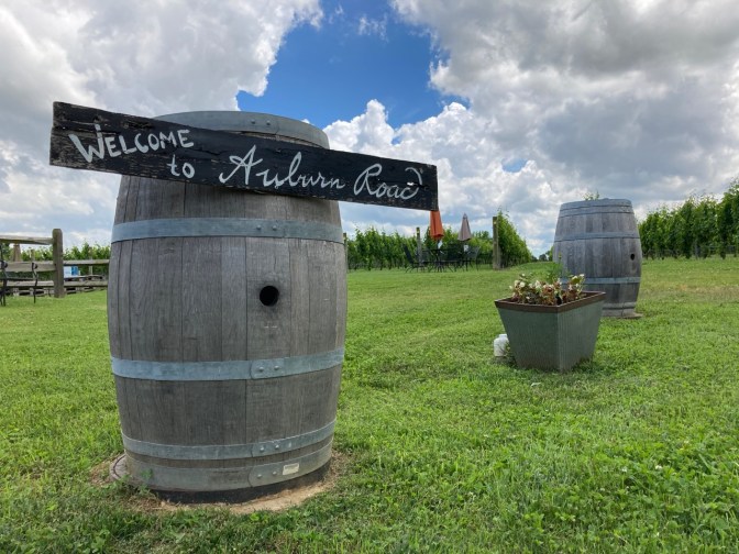 Wine barrel in front of vineyard, with sign that says WELCOME TO AUBURN ROAD.