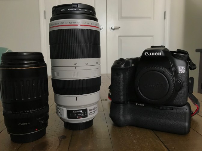 Canon 100-300mm zoom lens, Canon 100-400mm zoom lens, and Canon EOS 70D camera body on wooden table.