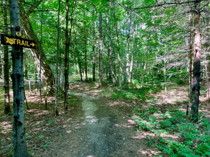 View of Moss Lake trail.